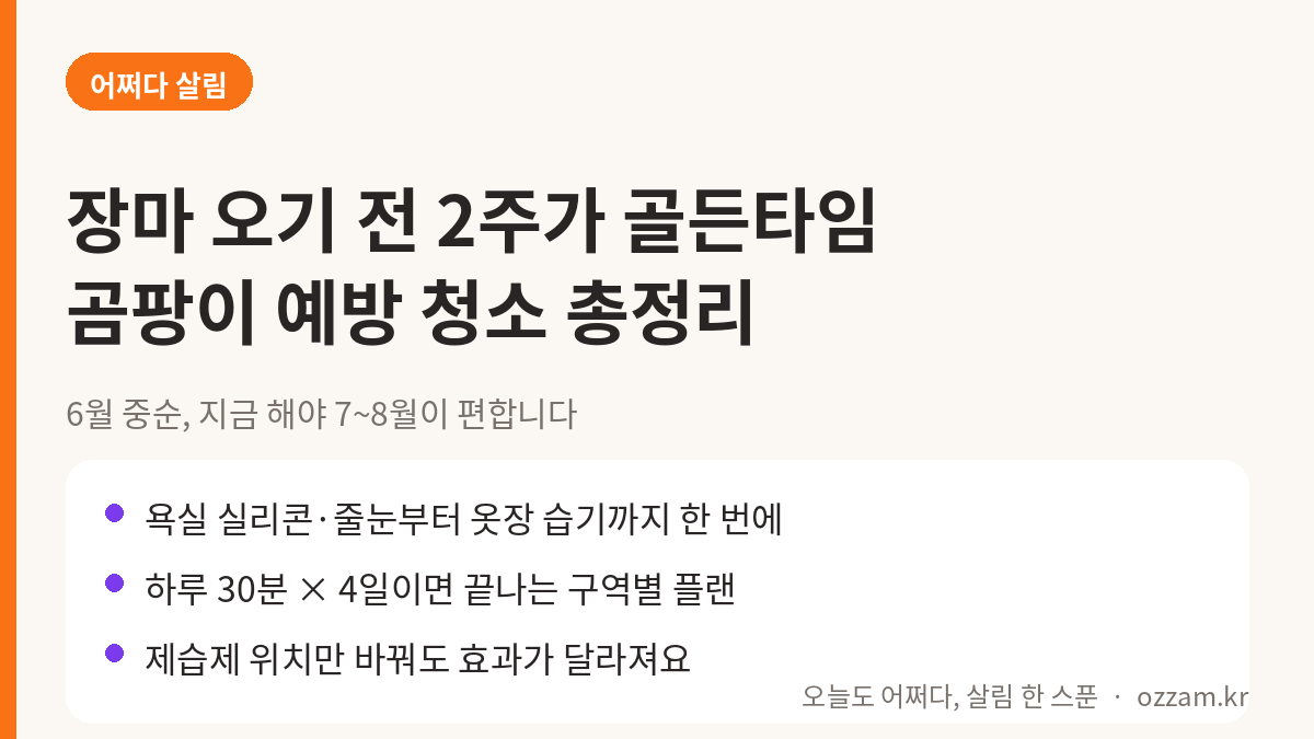 장마 오기 전 딱 4일! 곰팡이 안 피는 집 만드는 구역별 예방 청소 총정리