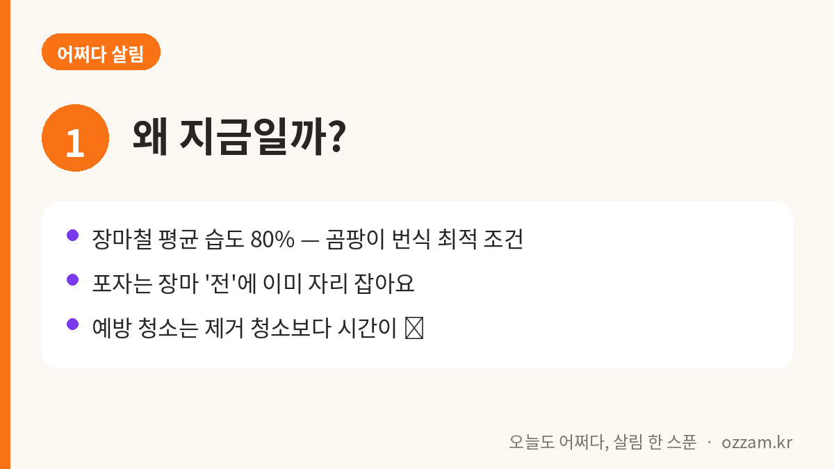 장마 전 청소가 필요한 이유 3가지 카드